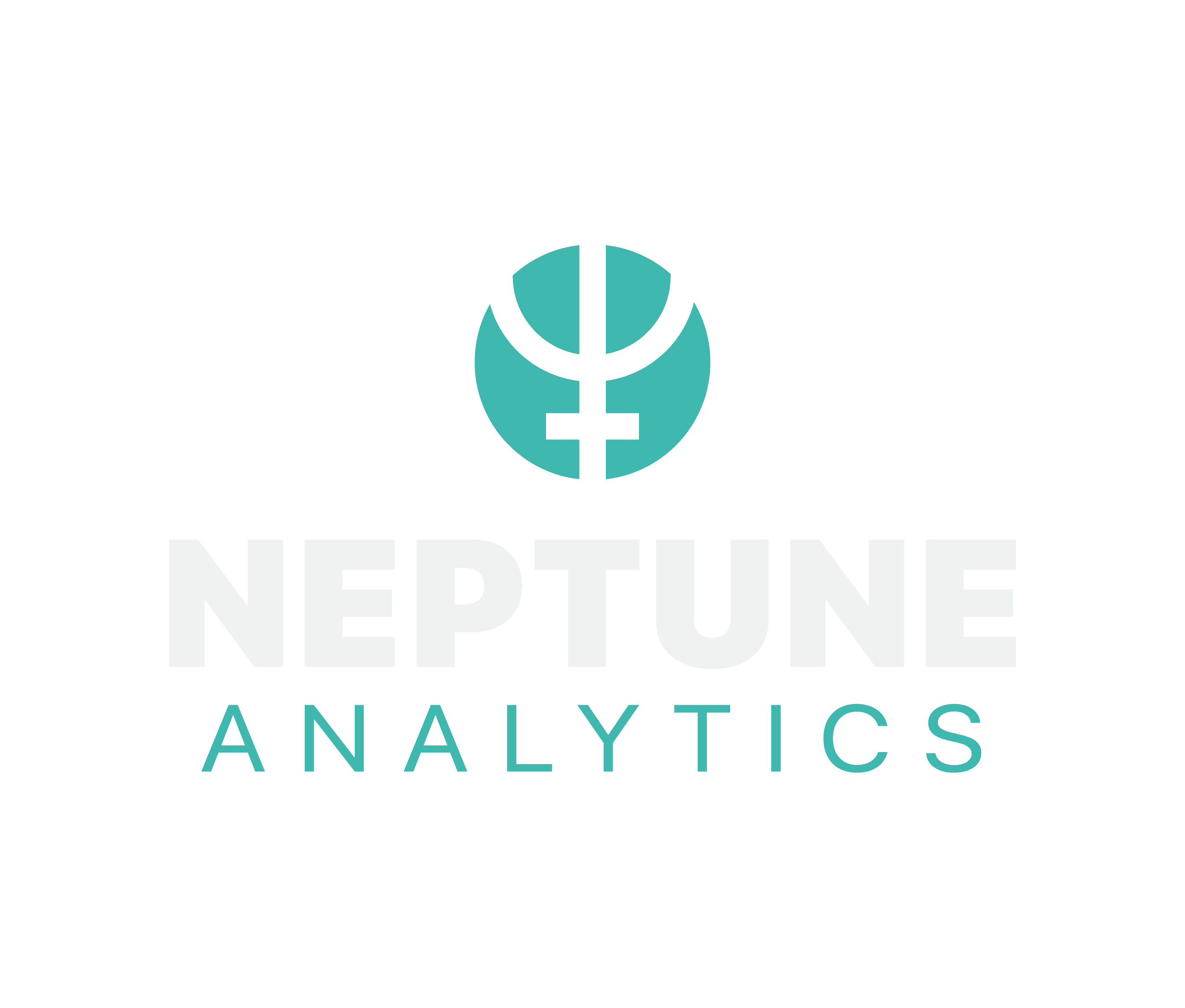 Neptune Analytics LLC logo.